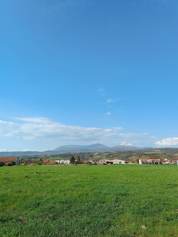 House Milovanovic Soko Banja Exterior photo