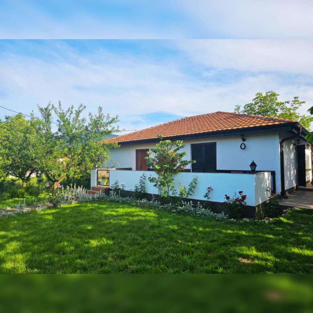 House Milovanovic Soko Banja Exterior photo
